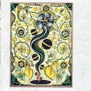 Steve Earle - I Feel Alright-0