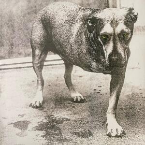 Alice In Chains - Alice In Chains-0