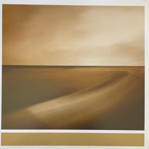 Brian Eno With Jon Hopkins & Leo Abrahams - Small Craft On A Milk Sea-0