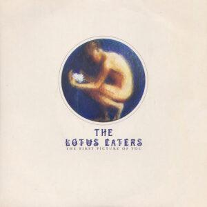 The Lotus Eaters - The First Picture Of You-0