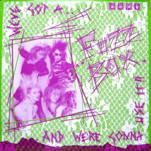 We've Got A Fuzzbox And We're Gonna Use It - Rules And Regulations-0