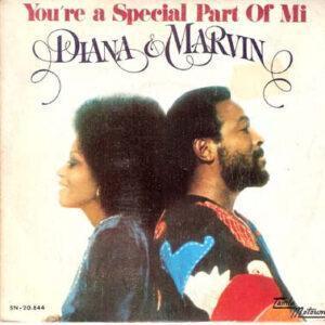 Diana Ross & Marvin Gaye - You're A Special Part Of Mi -0