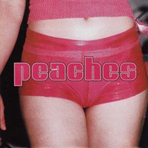 Peaches - The Teaches Of Peaches-0