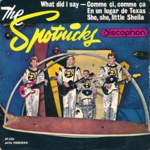 The Spotnicks - What Did I Say-0