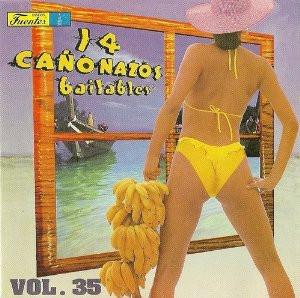 Various - 14 Cañonazos Bailables Vol. 35-0