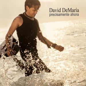 David DeMaría - Precisamente Ahora-0