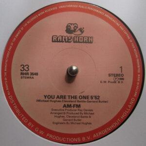 AM-FM - You Are The One-0