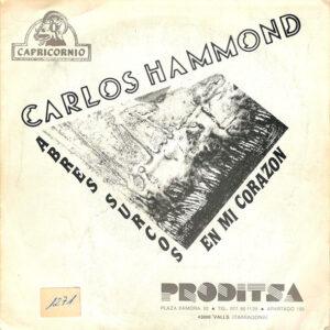 Carlos Hammond - Abres Surcos En Mi Corazon-0