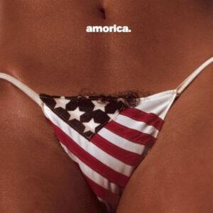 The Black Crowes - Amorica-0