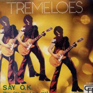 The Tremeloes - Say O.K. (Say Ole You Love Me)-0
