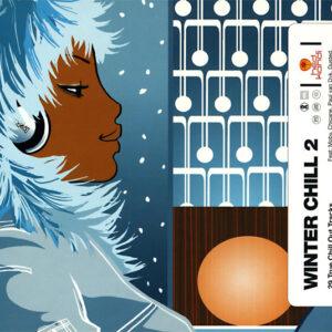 Various - Winter Chill 2-0