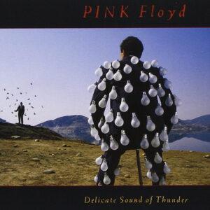 Pink Floyd - Delicate Sound Of Thunder-0