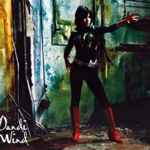 Dandi Wind - Nofuncity-0