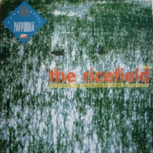 Parroquia - The Ricefield-0